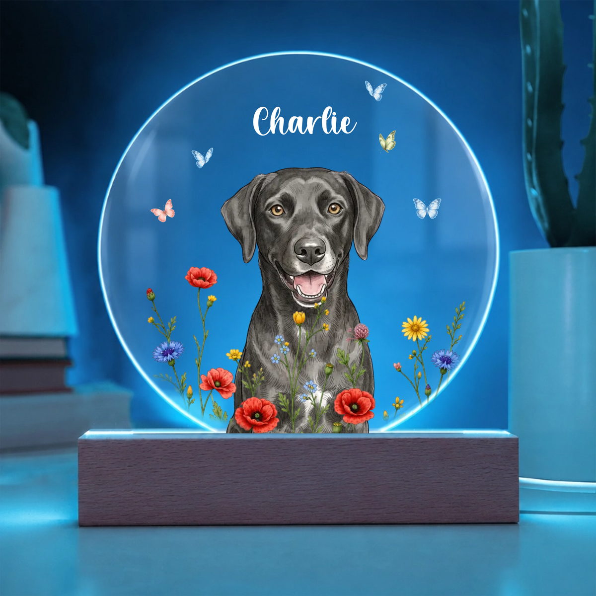 Acrylic Circle Plaque