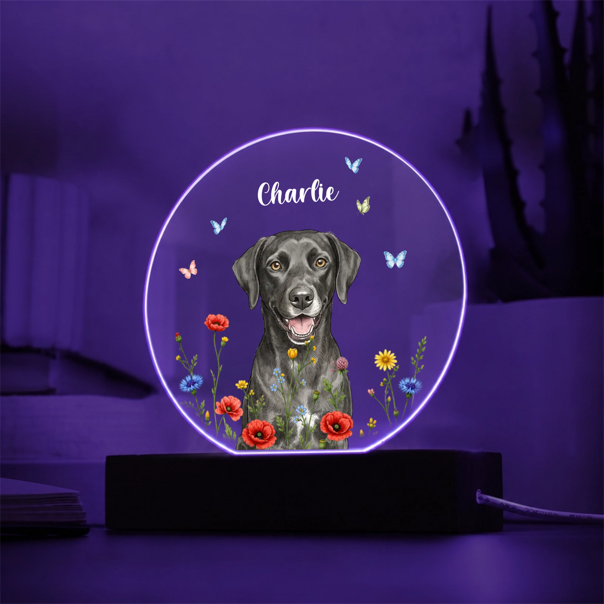 Acrylic Circle Plaque