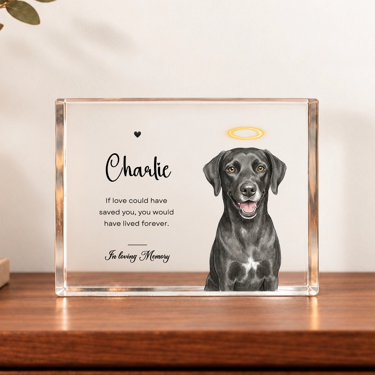 Custom Pet Memorial Acrylic Block