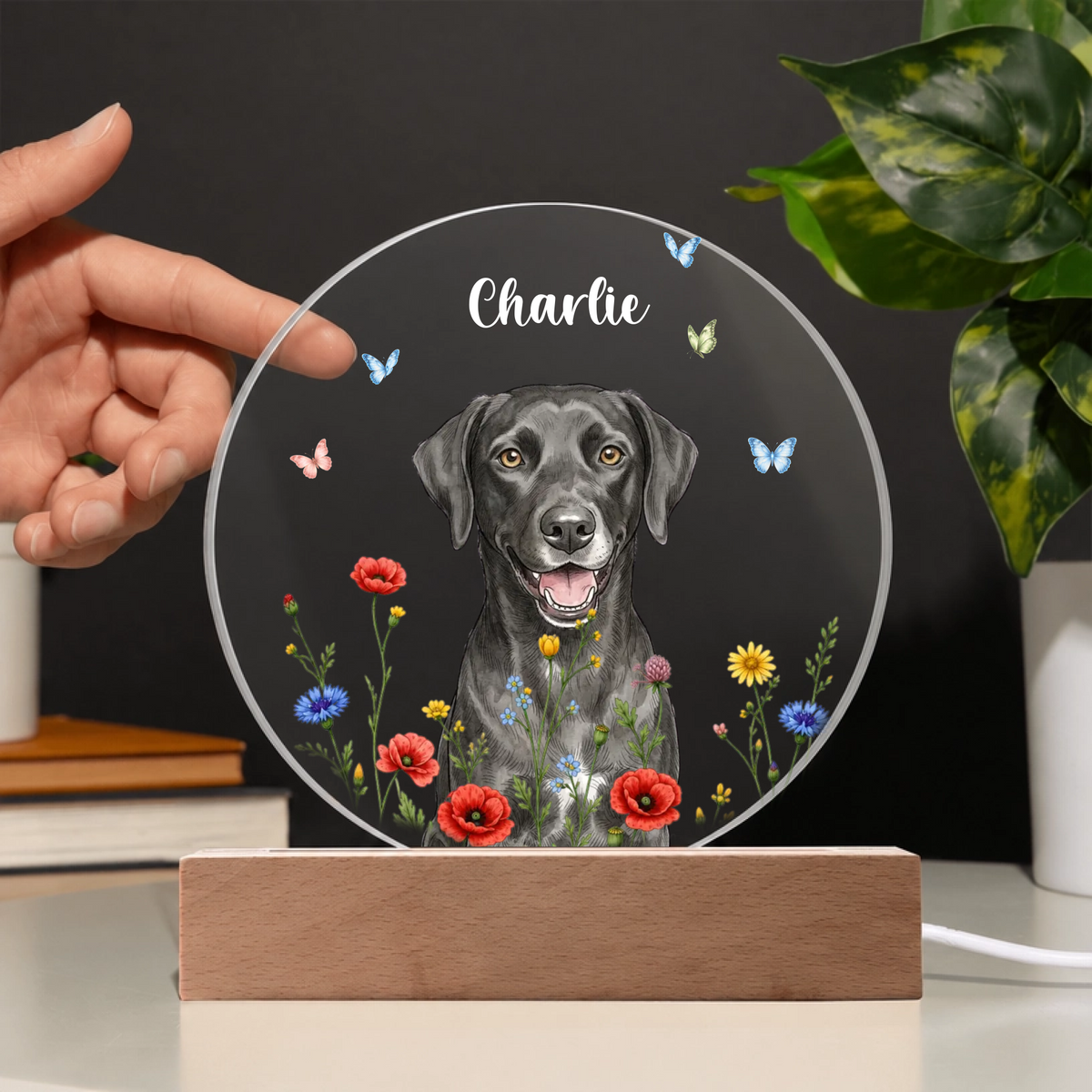 Acrylic Circle Plaque