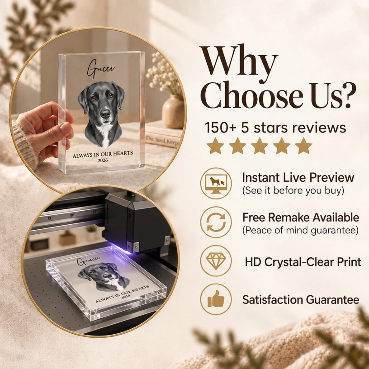5560141