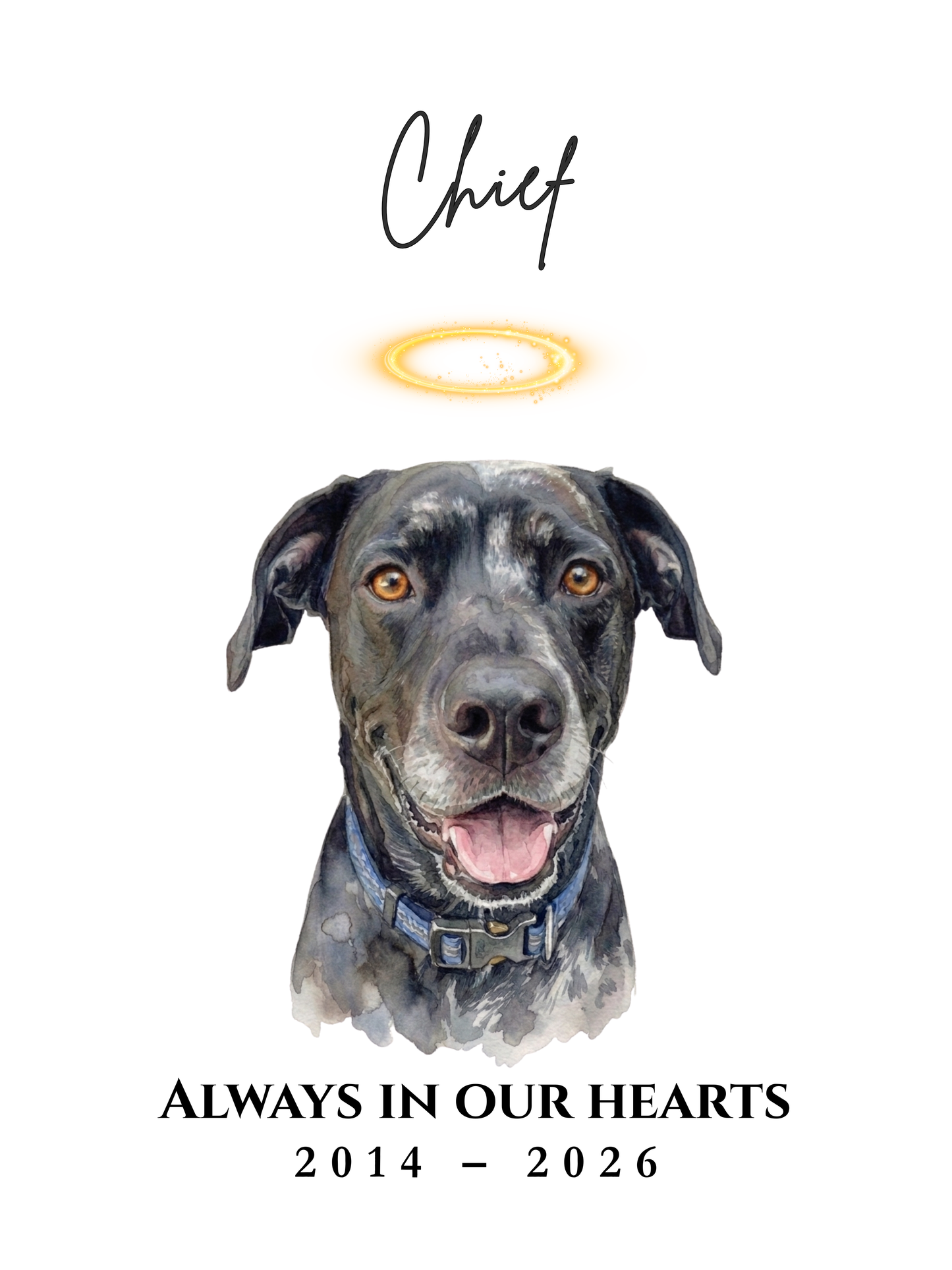 High-Res Digital Copy