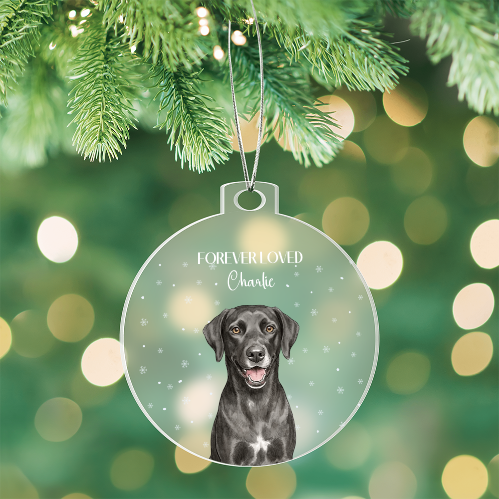Acrylic Bulb Ornament