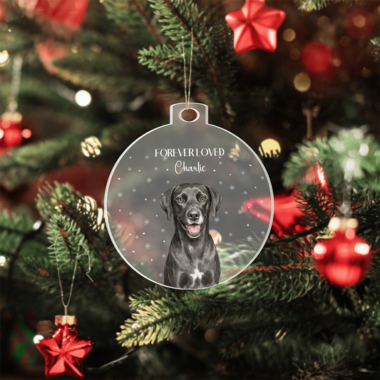 Acrylic Bulb Ornament